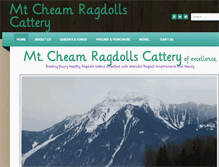 Tablet Screenshot of mtcheamragdolls.com